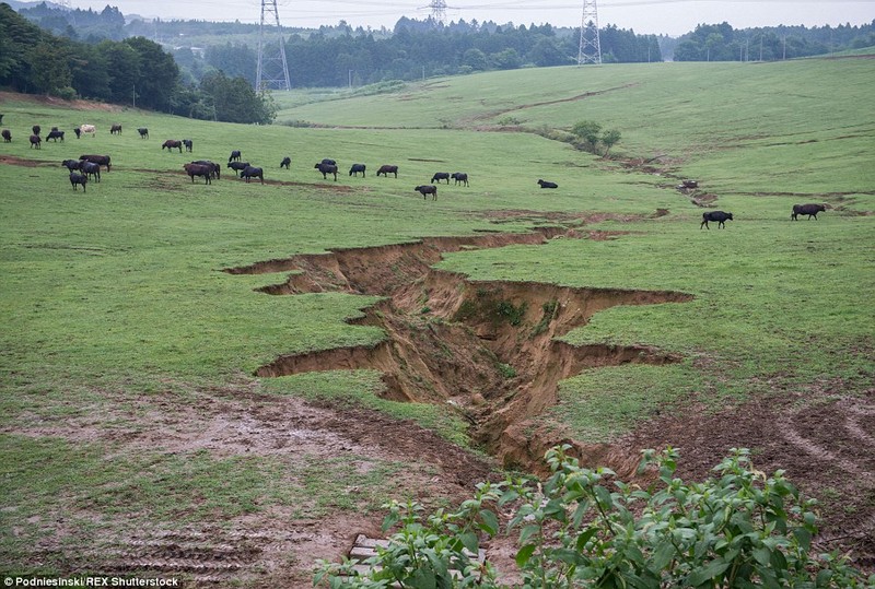 Hinh anh rung minh ben trong khu vuc cam quanh Fukushima-Hinh-7